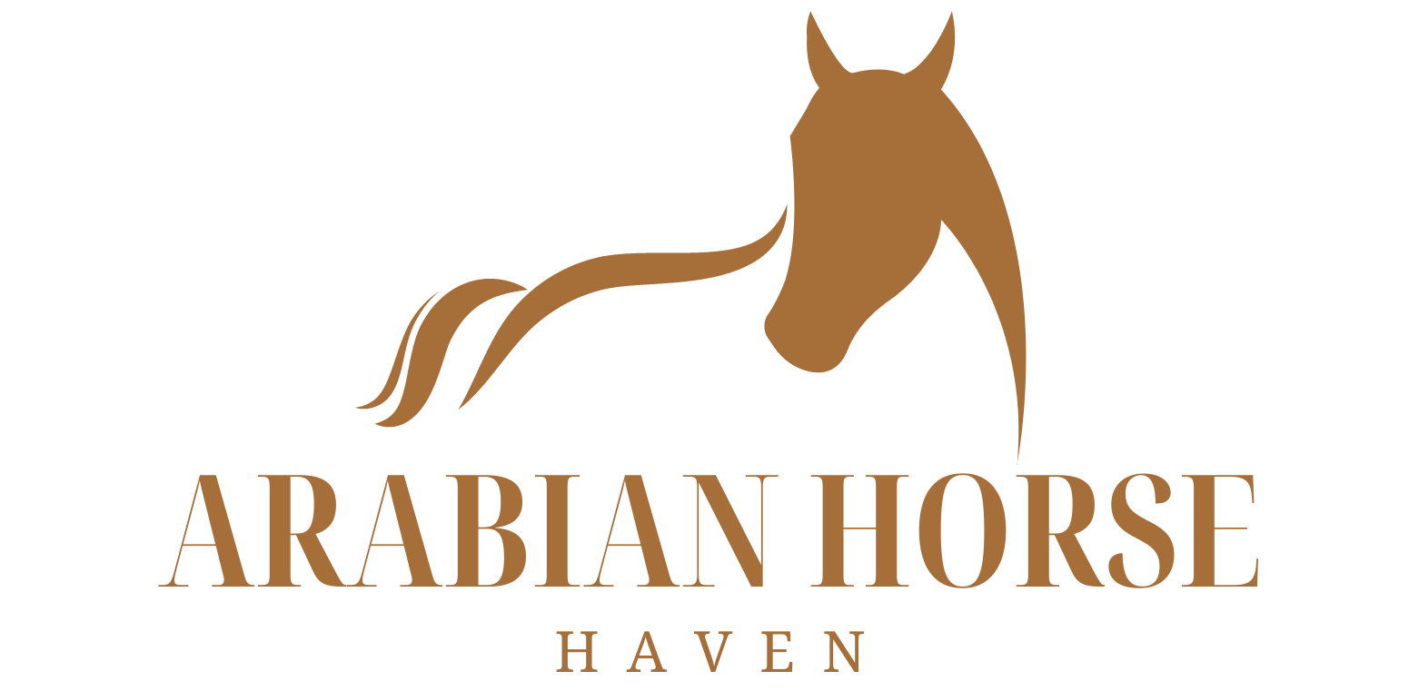 arabianhorsehaven.com